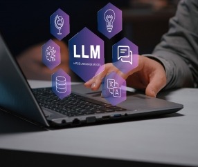 custom llm development